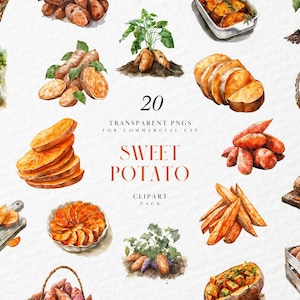 Imágenes prediseñadas de batata en acuarela, papas dulces de color naranja, tubérculo, alimento básico, ñame granate, gráficos PNG transparentes, uso comercial