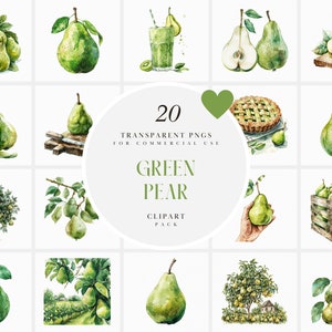 Clipart di pere verdi ad acquerello, Clipart di pere verdi fresche, Clipart di raccolta delle pere, Clipart di frutta di pera, Grafica PNG trasparente, Uso commerciale
