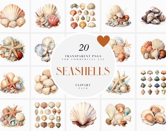 Watercolor Seashells Clipart, Mollusk Shellfish Clipart, Beach Starfish Clipart, Seashell Clipart, Deep Ocean, PNG Format for Commercial Use