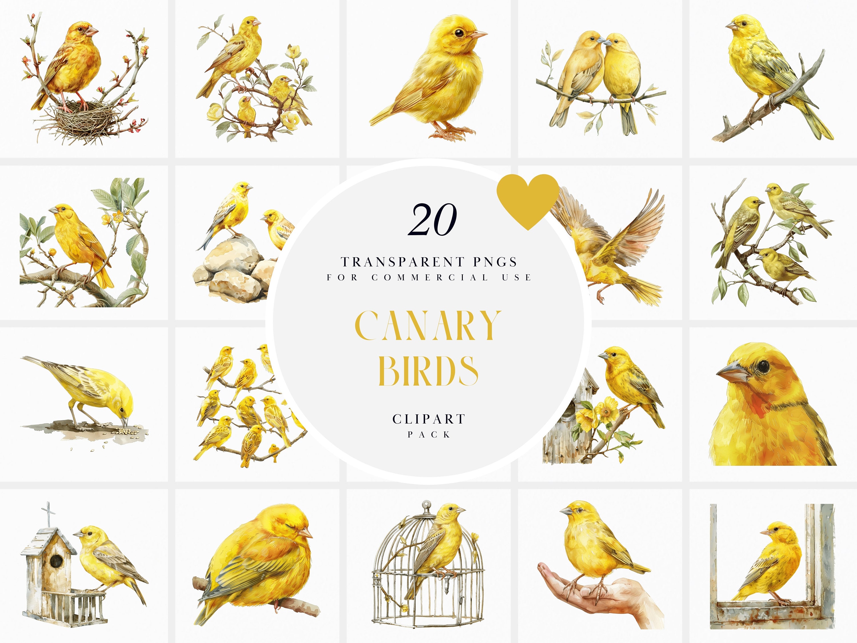 Watercolor Canary Bird Clipart, Flying Canary Birds Clipart, Chirping Yellow Bird Clipart Cute Bird, Transparent PNG Graphic, Commercial Use