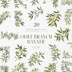 Op de afbeelding: Een verzameling aquarel olijftak clipart elementen. De afbeelding toont verschillende arrangementen van olijftakken met groene bladeren en zowel groene als zwarte olijven. Tekst luidt "20 Transparante PNG's voor commercieel gebruik" en "Olive Branch Banner Clipart Pack."