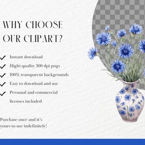May include: A watercolour illustration of blue cornflowers in a decorative vase. The vase is white with blue floral patterns. The image includes text that reads "WHY CHOOSE OUR CLIPART?" and lists features like instant download and transparent backgrounds.
