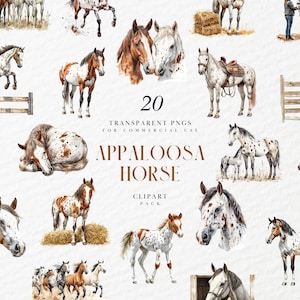 May include: A digital clipart pack of 20 watercolor illustrations of Appaloosa horses in various poses. The horses are brown, white, and black with spotted coats. The text "20 Transparent PNGs for Commercial Use Appaloosa Horse Clipart Pack" is displayed on the image.