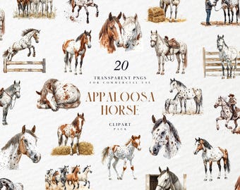 Op de afbeelding: Een digitaal clipart-pakket met 20 aquarel-illustraties van Appaloosa-paarden in verschillende poses. De paarden zijn bruin, wit en zwart met gevlekte vachten. De tekst "20 Transparent PNGs for Commercial Use Appaloosa Horse Clipart Pack" wordt weergegeven op de afbeelding.