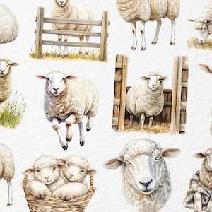 May include: Watercolor illustrations of sheep in various poses. Some sheep are standing, others are running, and some are in a basket. The sheep are white with fluffy wool, and some are near a wooden fence.