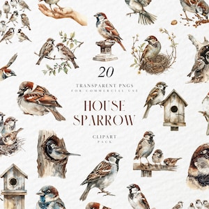 Aquarel huismus clipart, vliegende vogelmussen, tjilpende zingende huismus, schattig huisdier, transparante png-graphics, commercieel gebruik
