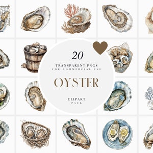 May include: A set of 20 watercolor illustrations of oysters in various settings, including on plates, in nets, and with coral. The illustrations are in a realistic style and are perfect for use in commercial projects.
