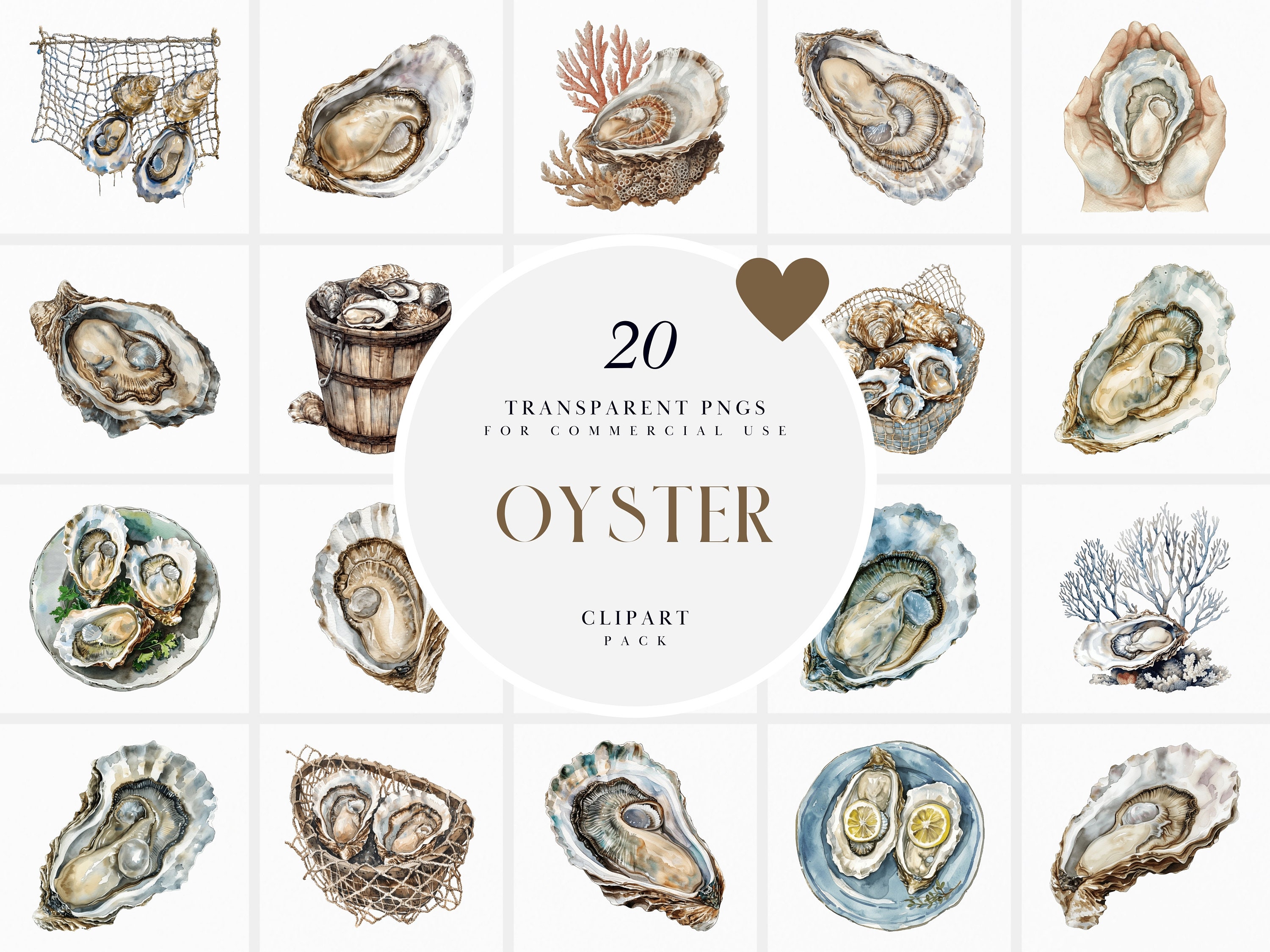 Watercolor Oyster Clipart, Mollusk Oysters Clipart, Pearl Seashell ...