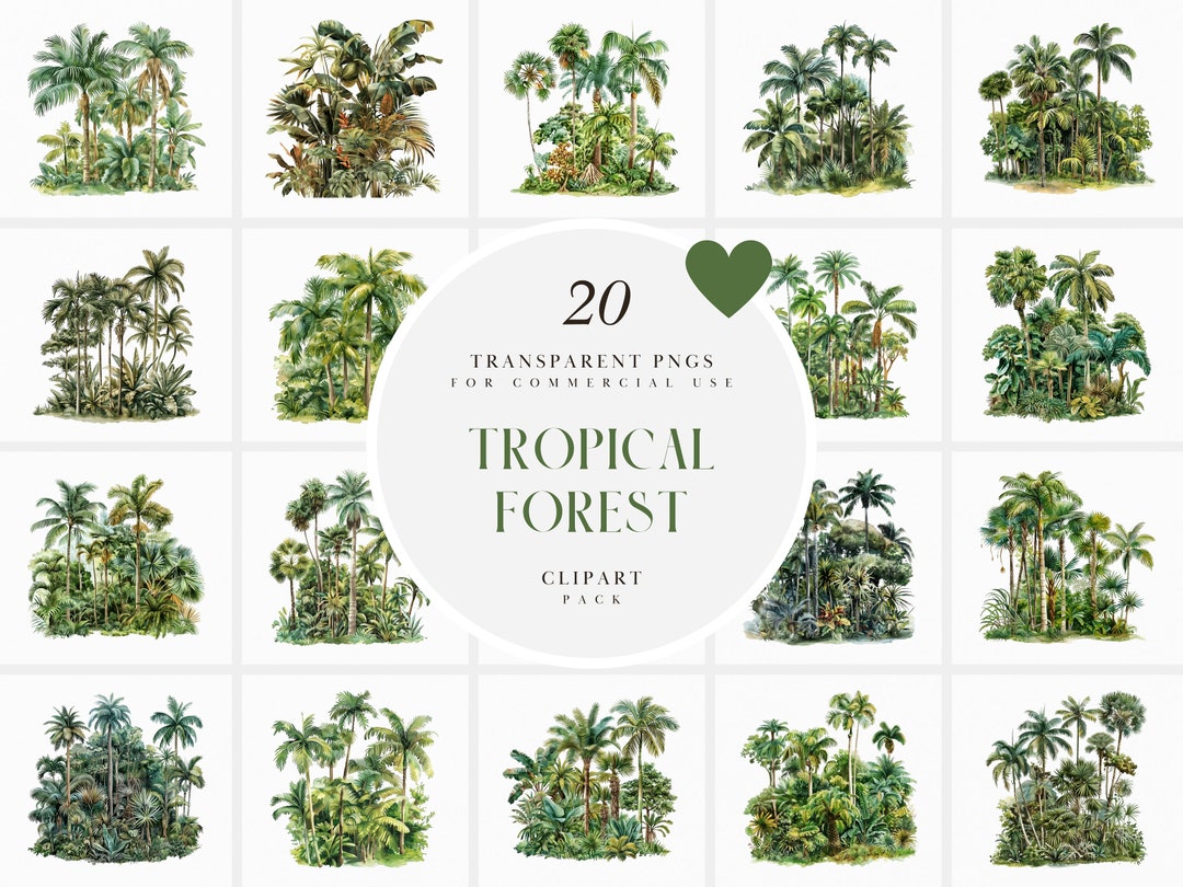 Watercolor Tropical Forest Clipart, Jungle Clipart, Rain Forest Clipart ...