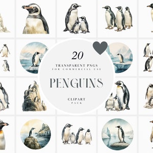Aquarelle pingouin Clipart, Clipart pingouin mignon, clipart animaux de l'Arctique, graphiques oiseaux pingouin, fichiers PNG transparents pour un usage commercial