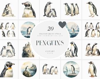 Imágenes prediseñadas de pingüinos de acuarela, imágenes prediseñadas de pingüinos lindos, imágenes prediseñadas de animales árticos, gráficos de aves pingüinos, archivos PNG transparentes para uso comercial