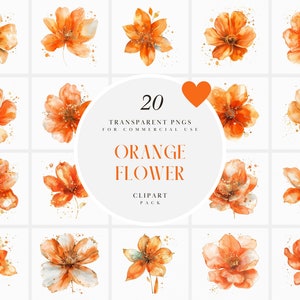 May include: A set of 20 digital clipart images featuring watercolor orange flowers. The flowers are in various stages of bloom and have a delicate, romantic feel. The images are perfect for adding a touch of nature to your designs.