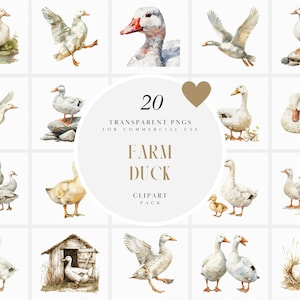 Imágenes prediseñadas de pato de granja blanco de acuarela, imágenes prediseñadas de patos de granja, pato mascota, animales de granja, vida en la granja, Cottagecore, PNG transparente, uso comercial