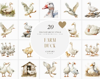 Watercolor White Farm Duck Clipart, Farm Ducks  Clipart, Pet Duck, Farm Animals, Farm Life, Cottagecore, Transparent PNG, Commercial Use