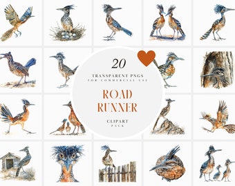 Watercolor Roadrunner Clipart, Running Roadrunners Clipart, Birds, Cute Baby Bird, Wildlife, Flying, Transparent PNG Graphic, Commercial Use
