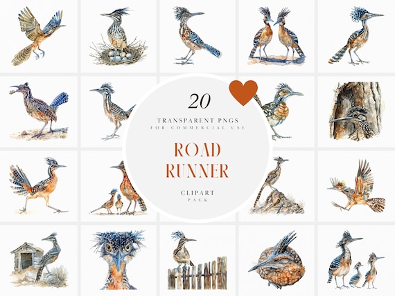 水彩ロードランナーのクリップアート、走るロードランナーのクリップ