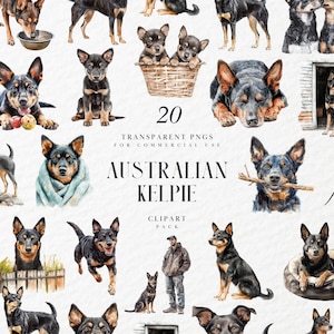 May include: A set of 20 transparent PNG images of Australian Kelpie dogs, rendered in watercolour. The illustrations depict the dogs in diverse poses and settings, such as lying down, sitting, and playing, against a plain background.