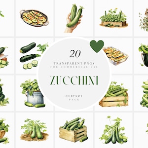 Watercolor Zucchini Clipart, Green Zucchini Plant Clipart, Garden Veggies Clipart, Healthy Food,  Transparent PNG Graphics, Commercial Use
