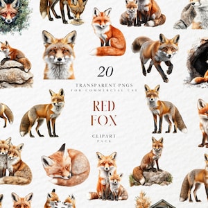 Aquarelle renard roux Clipart, Clipart renards roux, des cliparts renard des bois, mignon renard forêt Clipart Animal, graphique PNG Transparent, usage Commercial