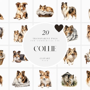 Aquarelle Collie Clipart, Clipart Colley, clipart chiot Colley, clipart Collie chien de compagnie, Portrait, PNG Transparent, usage Commercial