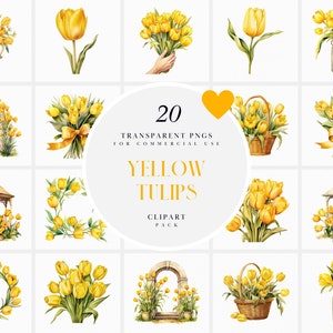 Aquarell gelbe Tulpen Clipart, gelbe Tulpe Blumen Clipart, gelbe Blumenstrauß Clipart, Tulpenstrauß, PNG-Format für kommerzielle Nutzung