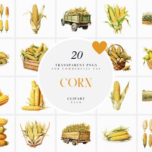 Aquarelle maïs clipart, clipart maïs sucré jaune, récolte d&#39;automne, légumes maïs ferme des cliparts, fichiers PNG Transparents à usage commercial