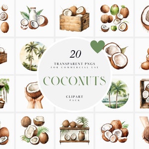 Imágenes prediseñadas de cocos de acuarela, imágenes prediseñadas de coco refrescante, imágenes prediseñadas de frutas tropicales de verano, hoja de palma, archivos PNG transparentes para uso comercial
