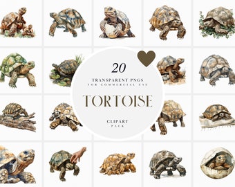 Watercolor Tortoise Clipart, Realistic Reptile Tortoises, Pet, Leopard Hermann's Giant Tortoise, Transparent PNG Graphics, Commercial Use