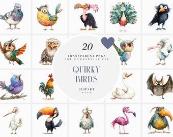 Watercolor Quirky Bird Clipart, Cute Funny Birds Clipart, Whimsical Bird, Pet Flying Bird Clipart, Transparent PNG Graphics, Commercial Use