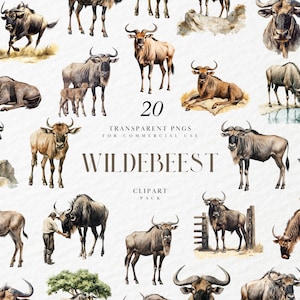 Akwarela Wildebeest Clipart, Majestatyczna Przyroda, Afrykańskie Safari, Ssak Savannah, Dekoracja Dżungli, Przezroczysta Grafika PNG, Wykorzystanie Komercyjne
