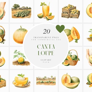 Watercolor Cantaloupe Clipart, Melon Cantaloupes Clipart, Summer Fruit Clipart, Sliced Cantaloupe Slice, Transparent PNG, Commercial Use