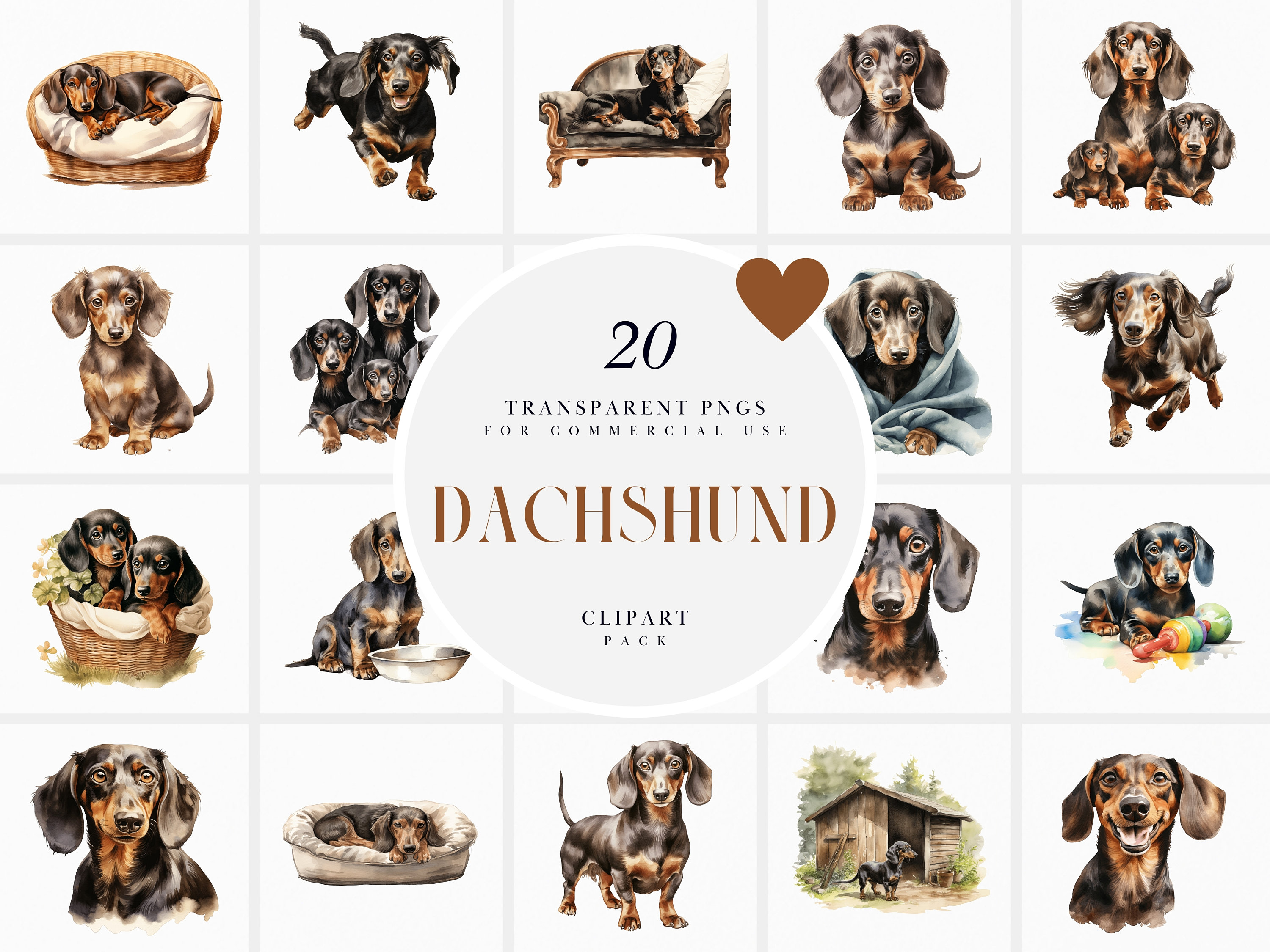 Watercolor Dachshund Clipart, Dachshunds Clipart, Puppy Cute Puppies Dog, Family Home Pet Clipart, Transparent PNG Graphics, Commercial Use