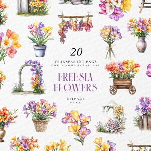 May include: A set of 20 watercolor illustrations of freesia flowers in various arrangements. The flowers are in shades of purple, pink, yellow, and white. Some arrangements include fences, arches, and other garden elements.