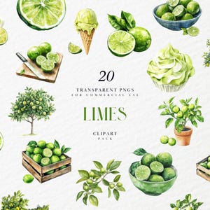 May include: A watercolour clipart pack of 20 lime images, including limes on branches, in a bowl, in a box, and as a whole lime. The text "20 Transparent PNGs for Commercial Use Limes Clipart Pack" is included in the image.