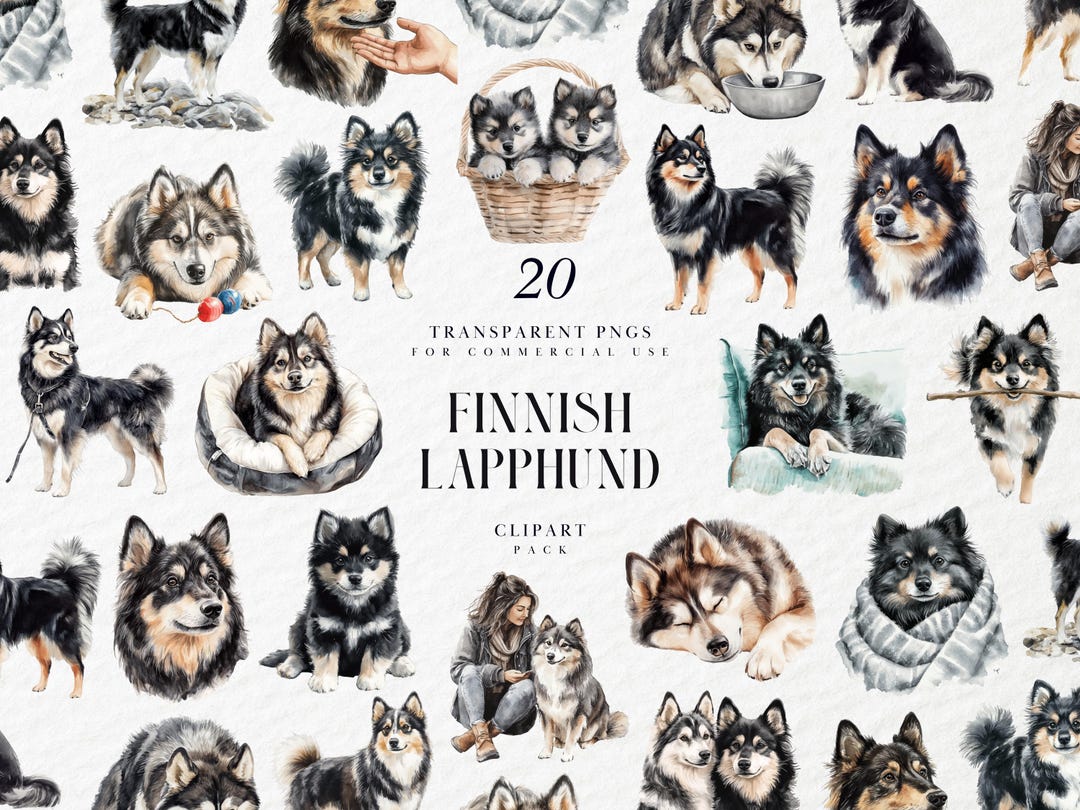 Watercolor Finnish Lapphund Clipart, Nordic Herding Dog Portrait Set ...