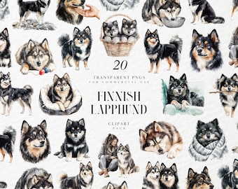 Watercolor Finnish Lapphund Clipart, Nordic Herding Dog Portrait Set, Planner Stickers & Wall Art, Transparent PNG Graphics, Commercial Use