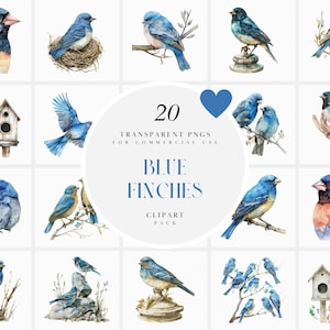 Clipart de tentilhões azuis em aquarela, clipart de tentilhões azuis voadores, clipart de pássaros azuis cantando, pássaros fofos de verão, PNG transparente, uso comercial