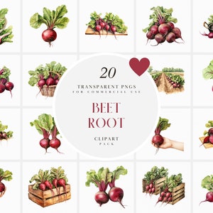 May include: A set of 20 watercolour illustrations of beetroots in various arrangements. The illustrations include beetroots in baskets, on chopping boards, in fields, and in hands. The illustrations are perfect for use in digital and printed projects.