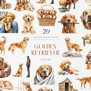 Aquarel golden retriever clipart, golden retriever clipart, schattige puppy hondje, familiehuis huisdier hond clipart, transparante png, commercieel gebruik