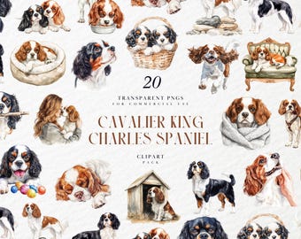 Watercolor Cavalier King Charles Spaniel Clipart, CKCS Puppy Dog Breed Illustration, Pet Lovers Art, Transparent PNG Graphic, Commercial Use