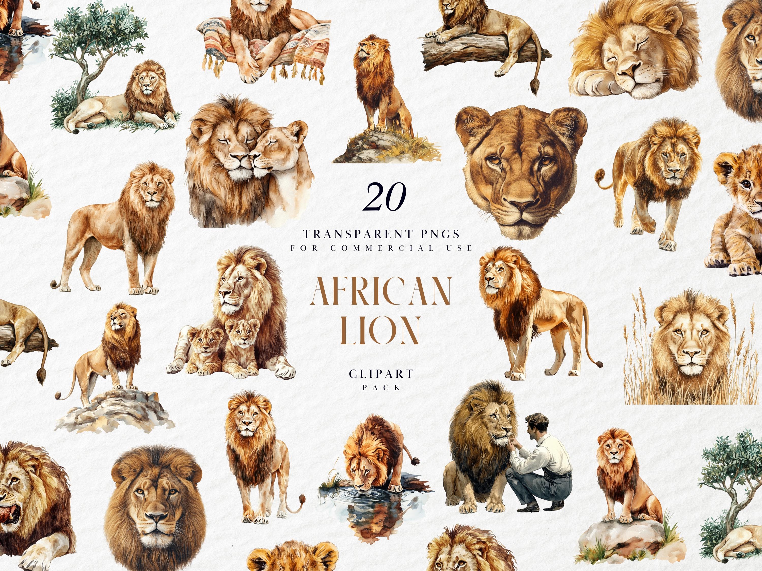 Barbary lion - Etsy België, image size:3000x2250