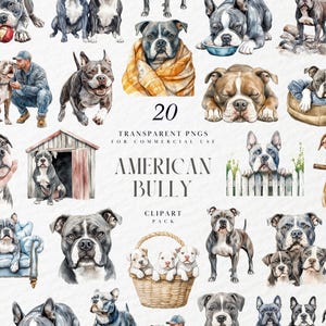 Puede incluir: Un conjunto de 20 imágenes PNG transparentes con ilustraciones en acuarela de perros American Bully en varias poses. El paquete de imágenes prediseñadas incluye perros con diferentes colores y marcas de pelaje, para uso comercial.