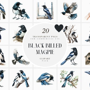 Aquarelle des cliparts pie à bec noir, pie en vol des cliparts oiseaux, pépiement des pies clipart oiseau de compagnie mignon, PNG Transparent, usage Commercial
