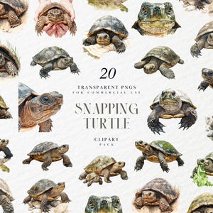 May include: A collection of 20 transparent PNG images of snapping turtles. The turtles vary in size and pose, with detailed watercolor illustrations. The text "Snapping Turtle Clipart Pack" is also included.