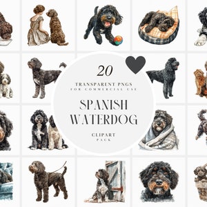 Clipart aquarelle chien d'eau espagnol, chien bouclé duveteux, grand chien noir, famille chien de compagnie, chiot mignon, graphique PNG transparent, usage Commercial