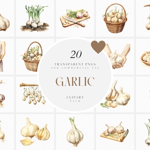 May include: A set of 20 watercolour illustrations of garlic in various forms, including whole bulbs, cloves, and garlic plants. The illustrations are perfect for use in culinary, gardening, or farmhouse-themed designs.