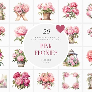 Aquarell Rosa Pfingstrosen Clipart, Braut Rosa Pfingstrose Clipart, Rosa Hochzeitsstrauß Clipart, Grafiken, transparente PNG-Dateien für den kommerziellen Gebrauch