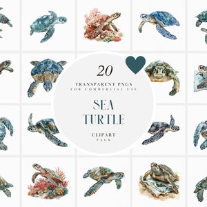 Aquarell Meeresschildkröte Clipart, realistische Reptil Schildkröten, Haustier, unter dem Meer, Meereswelt, Ozean, transparente PNG Grafik, kommerzielle Nutzung