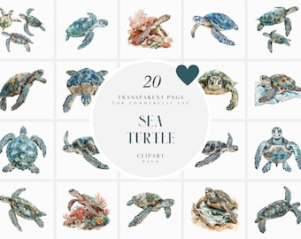 Watercolor Sea Turtle Clipart, Realistic Reptile Turtles, Pet, Under The Sea, Marine Life, Ocean, Transparent PNG Graphics, Commercial Use