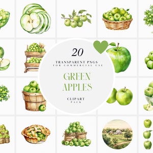Aquarelle de pommes vertes des cliparts, des cliparts pomme verte, des cliparts grand-mère Smith, des cliparts botanique de pomme aigre-douce, Format PNG pour un usage commercial